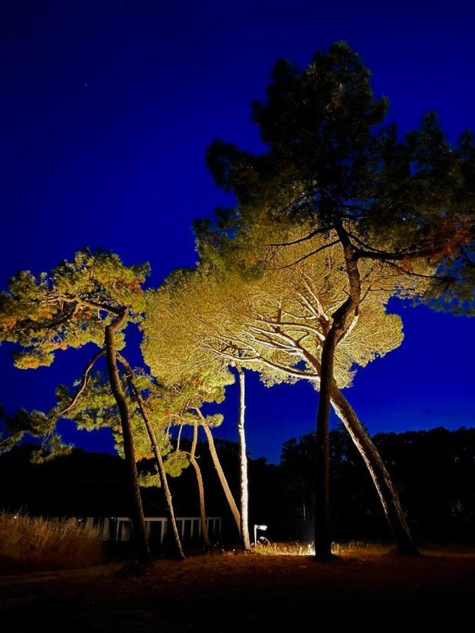 Apartamento Les Salines Oléron Saint-Pierre-d'Oleron Exterior foto