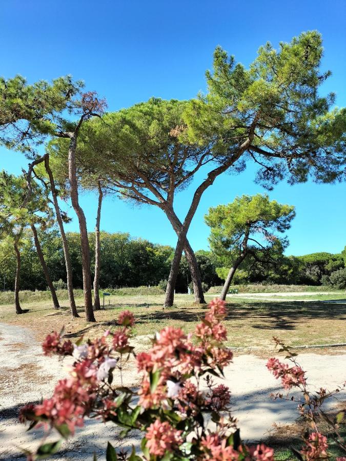 Apartamento Les Salines Oléron Saint-Pierre-d'Oleron Exterior foto