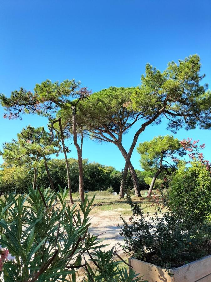 Apartamento Les Salines Oléron Saint-Pierre-d'Oleron Exterior foto